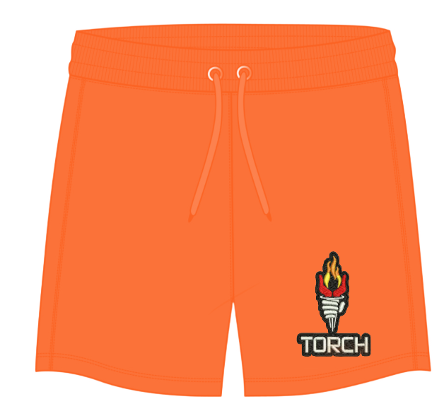 Torch Shorts (unisex)