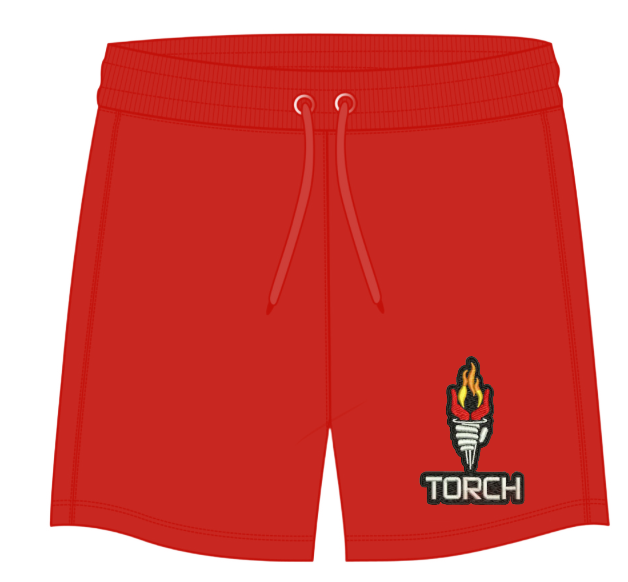 Torch Shorts (unisex)